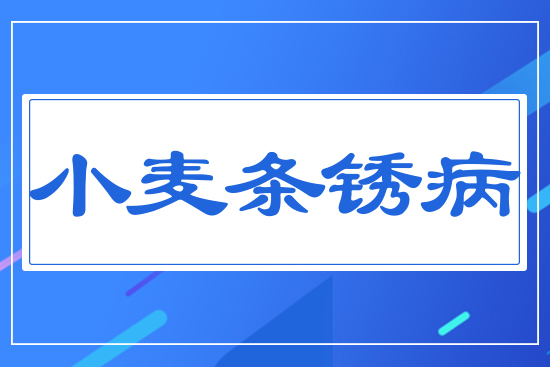 С���l�P��