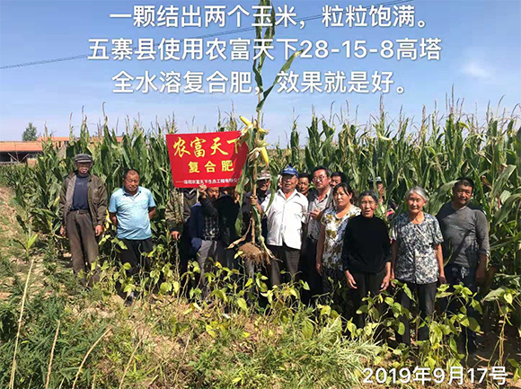 含鋅氮肥-萬(wàn)地寶-農(nóng)富天下6