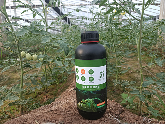 ƿ�b���徫�ͳ���Һ-�_(t��i)����ѿ2