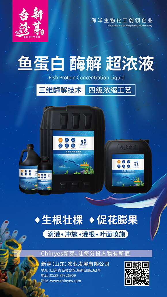 魚蛋白酶解超濃液-臺灣新芽4