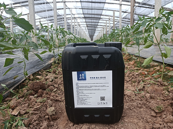 桶裝甲殼素螯合超濃液-臺(tái)灣新芽2