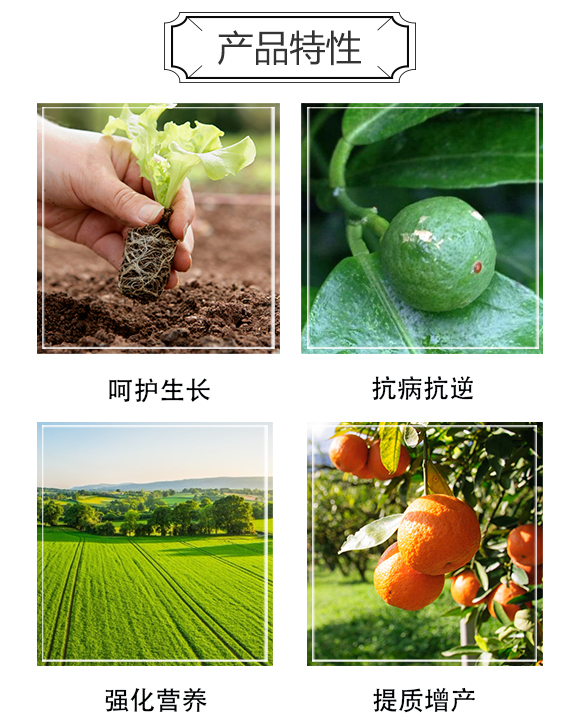 ���ϰ����S�r(n��ng)�I(y��)�Ƽ����޹�˾_04