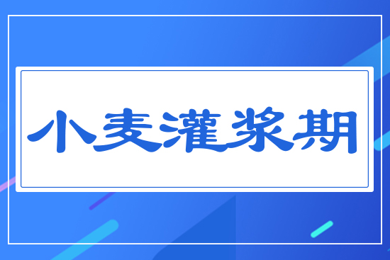 С�����{��