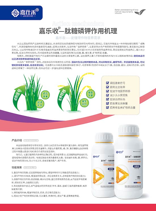 ���˺̆�퓣�������⛣�-210x285mm-����