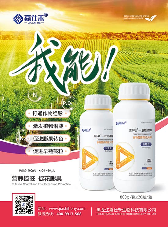 ���˺̆�퓣�������⛣�-210x285mm-����