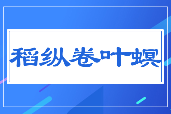 ���v���~��