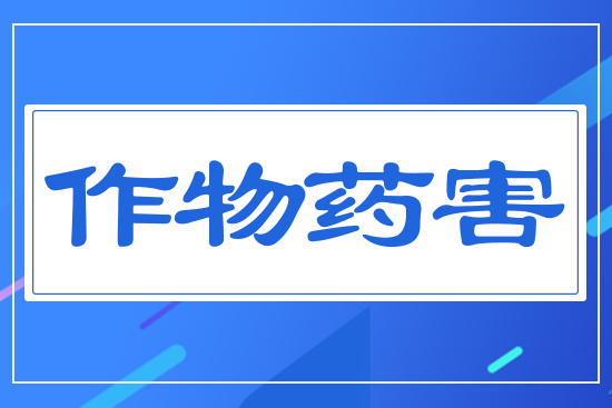 ����ˎ��