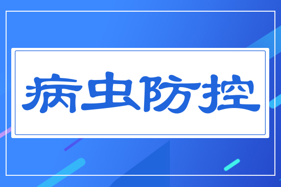 病蟲(chóng)防控