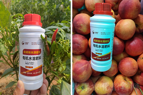 �n���D(zhu��n)ɫ������-��ʩ��4