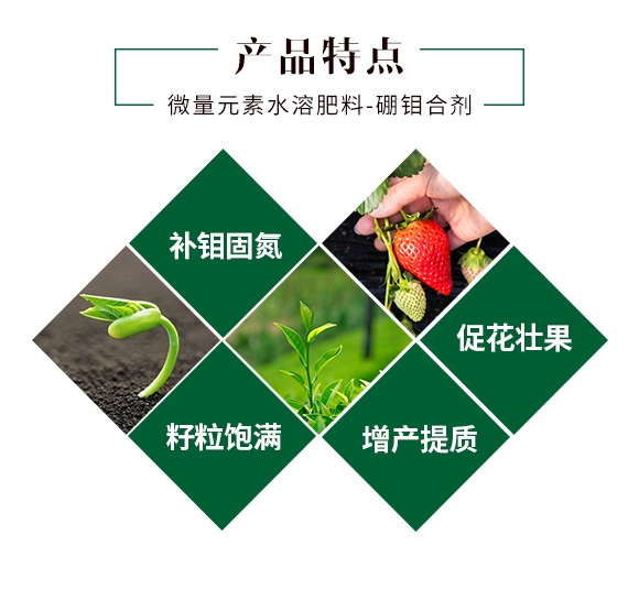 �ӱ���Ⱥ�r�I(y��)�Ƽ����޹�˾_03