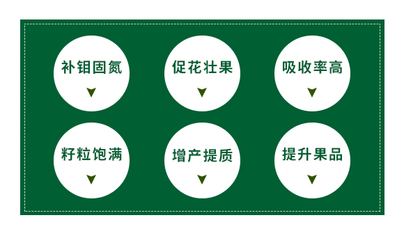 �ӱ���Ⱥ�r�I(y��)�Ƽ����޹�˾_02