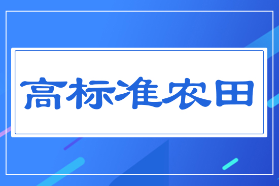 �ߘ˜��r(n��ng)��