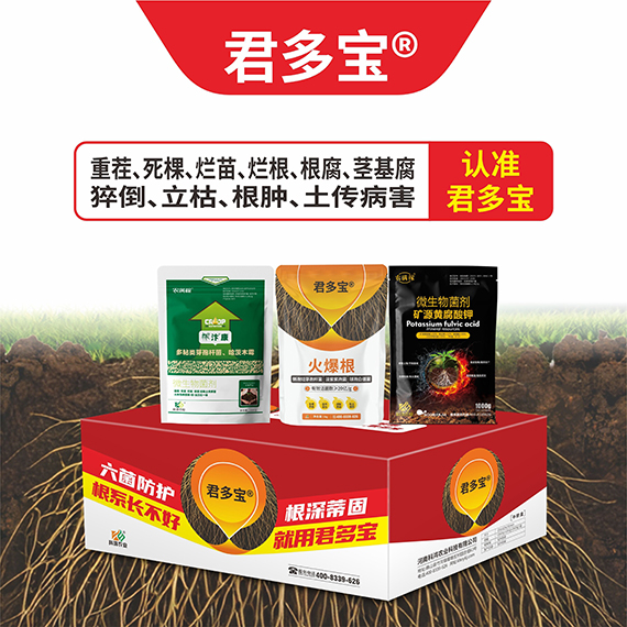 QQ圖片20260430094737