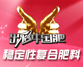 �ӱ���Ԫ���컯�����޹�˾