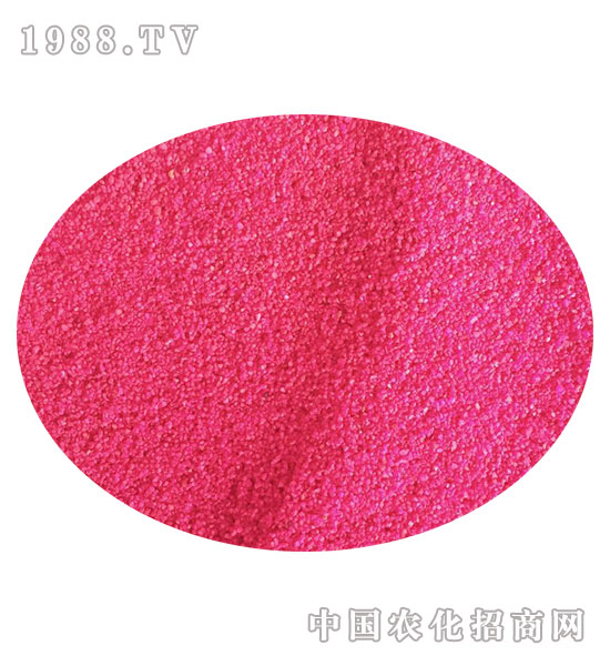 �����o���w����-�����rˎ