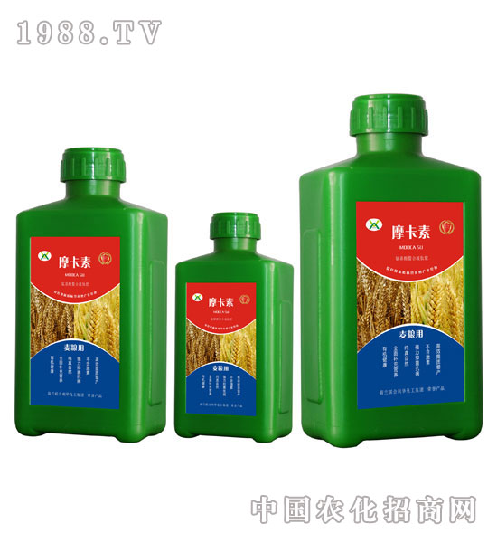 ���Z���ð���������Һ�ķ�-Ħ����-��(qi��ng)о���H