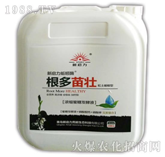 �������-����