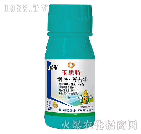 42%����ݬȥ��-��˼��