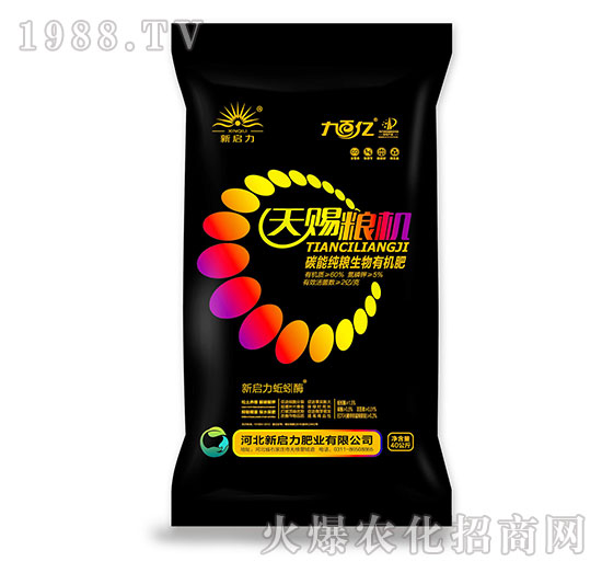 ���n�Z�C-̼�ܼ��Z�����ЙC��-����