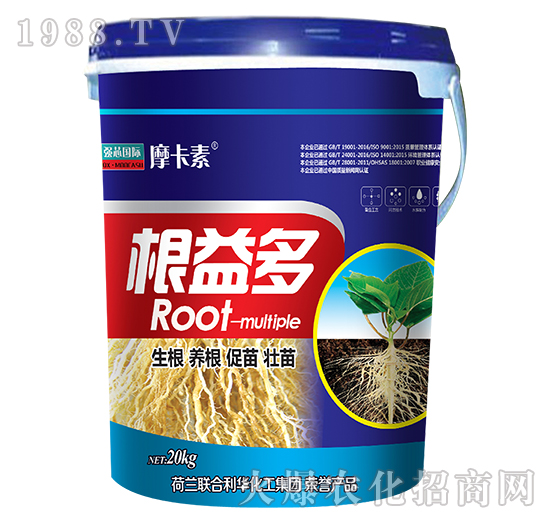 �����-Ħ����-��о���H