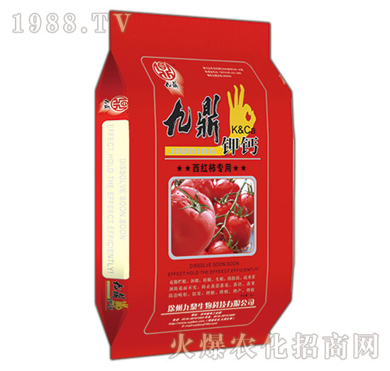 ���t�����þŶ���}-�ذ�Ȫ