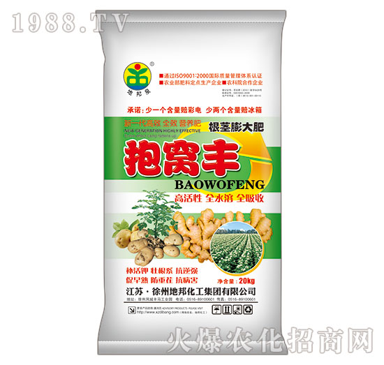 ���o����-���C�S-�ذ�Ȫ