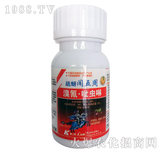 20%���衤���x��-��(zh��n)���e����-�P���