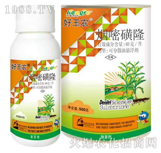 40��ÿ�����׻�¡-�����r-���¿��r