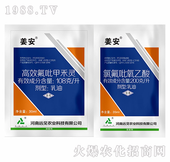 姜安-遠見農(nóng)業(yè)