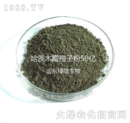 ����ľù���ӷ�-�G�]����