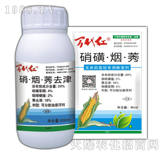 24%���ǡ�����ݬ-�f(w��n)���t-�G��