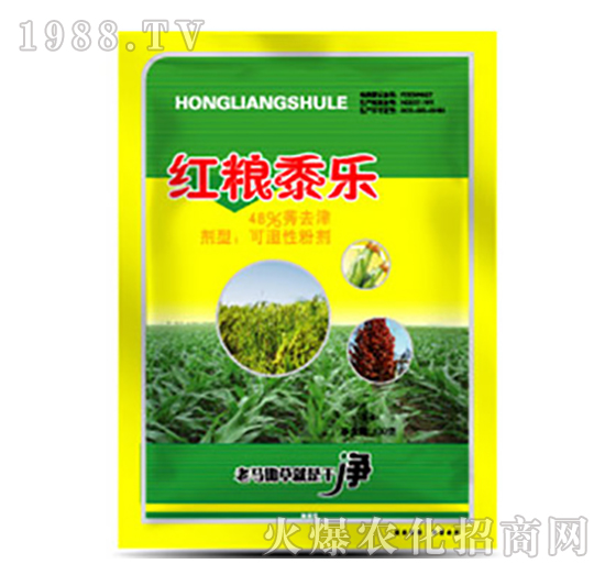 48%ݬȥ��-�t�Z��-�����r(n��ng)�I(y��)