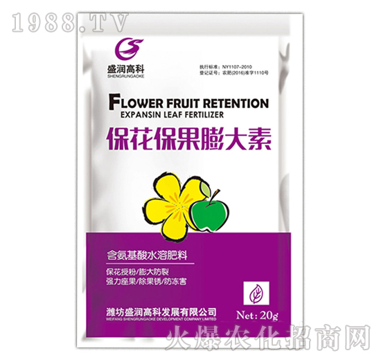 �������������-ʢ���߿�