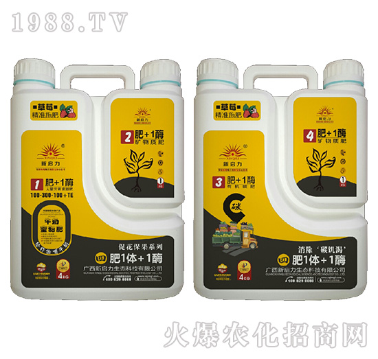 ��ݮ����-��1�w+1ø-����