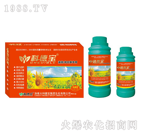 �Ͳ������տ����àI(y��ng)�B(y��ng)���a(ch��n)�{(di��o)�턩-�Ƶ�