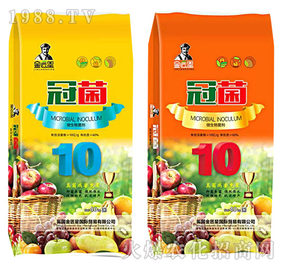 ΢�������-�ھ�-����