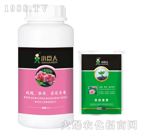 õ�塢ĵ�����ջ������{(di��o)��(ji��)��-С����