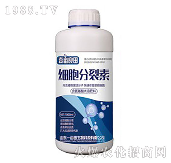 細(xì)胞分裂素-壹畝良田