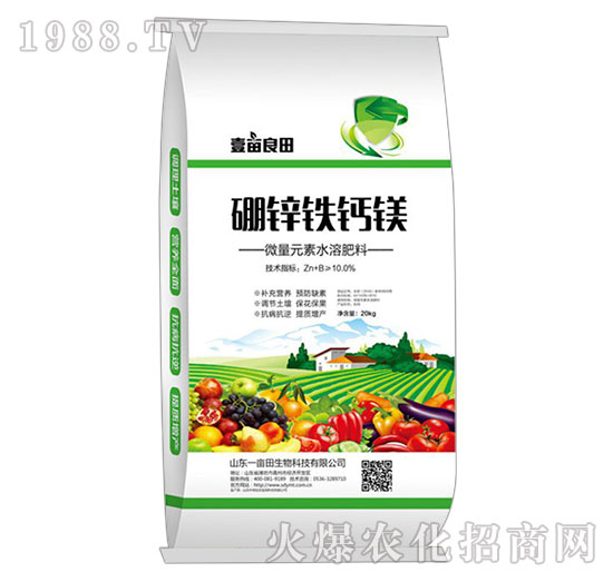 ���\�F�}�V-Ҽ������