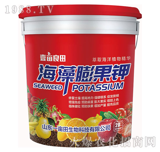 ��������-Ҽ������