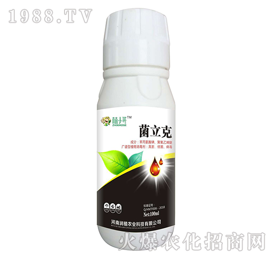 ������-ֲС��-��ֲ