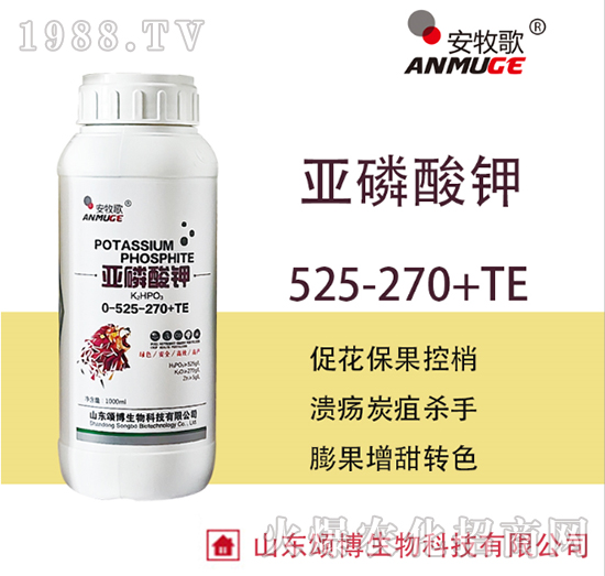 �������00-525-270-ힲ�����