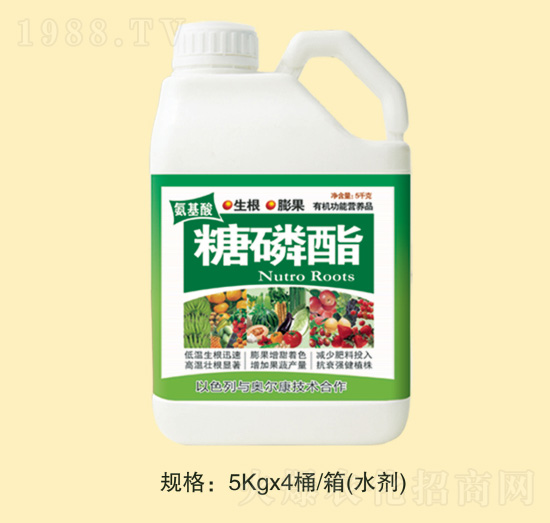 ������������-�f(w��n)Ȫ�r(n��ng)��