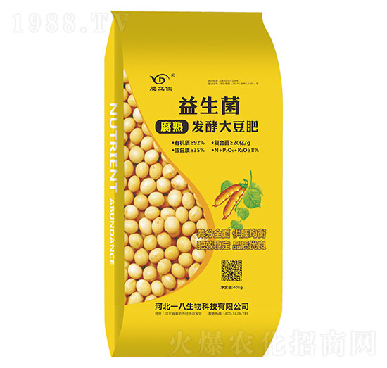 ����l(f��)�ʹ󶹷�-������-һ������