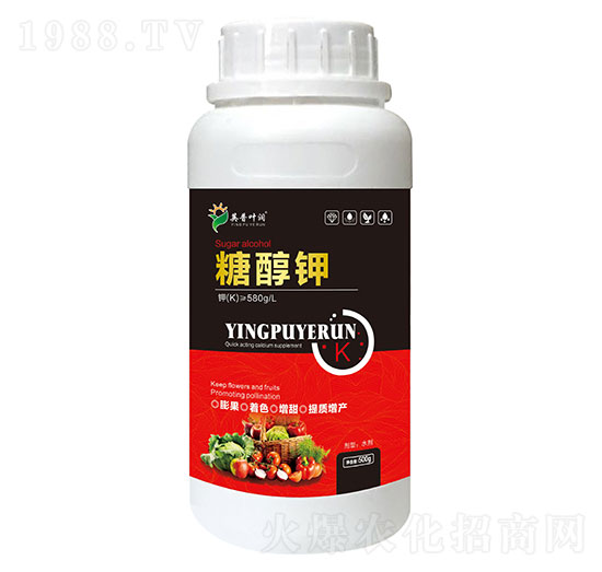 �Ǵ��-Ӣ���~��(r��n)