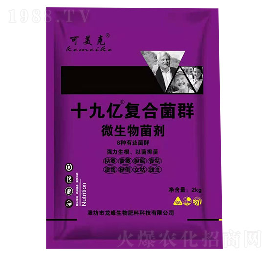 ΢�������-ʮ�Ń|�ͺϾ�Ⱥ-������