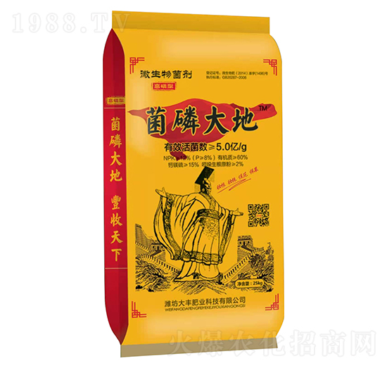 高磷型微生物菌劑-菌磷大地-大豐肥業(yè)