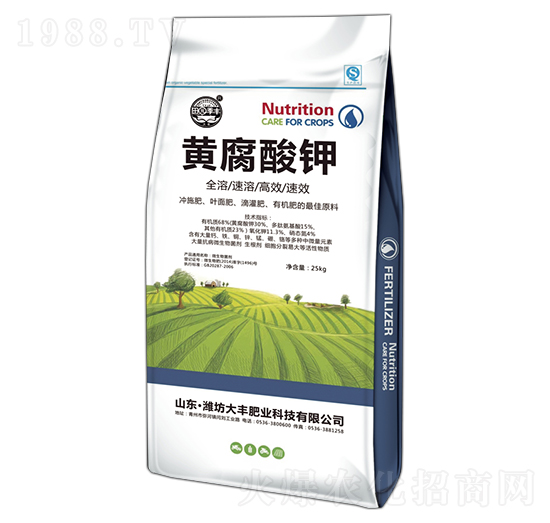 25kg�S�����-��@���S-���S�ʘI(y��)