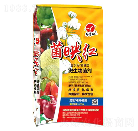 ȫˮ�܏�(f��)����΢�������-��ӳ�t-����t