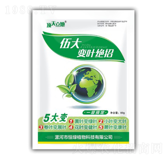 伍大變?nèi)~絕招-頂天立地-恒綠植物